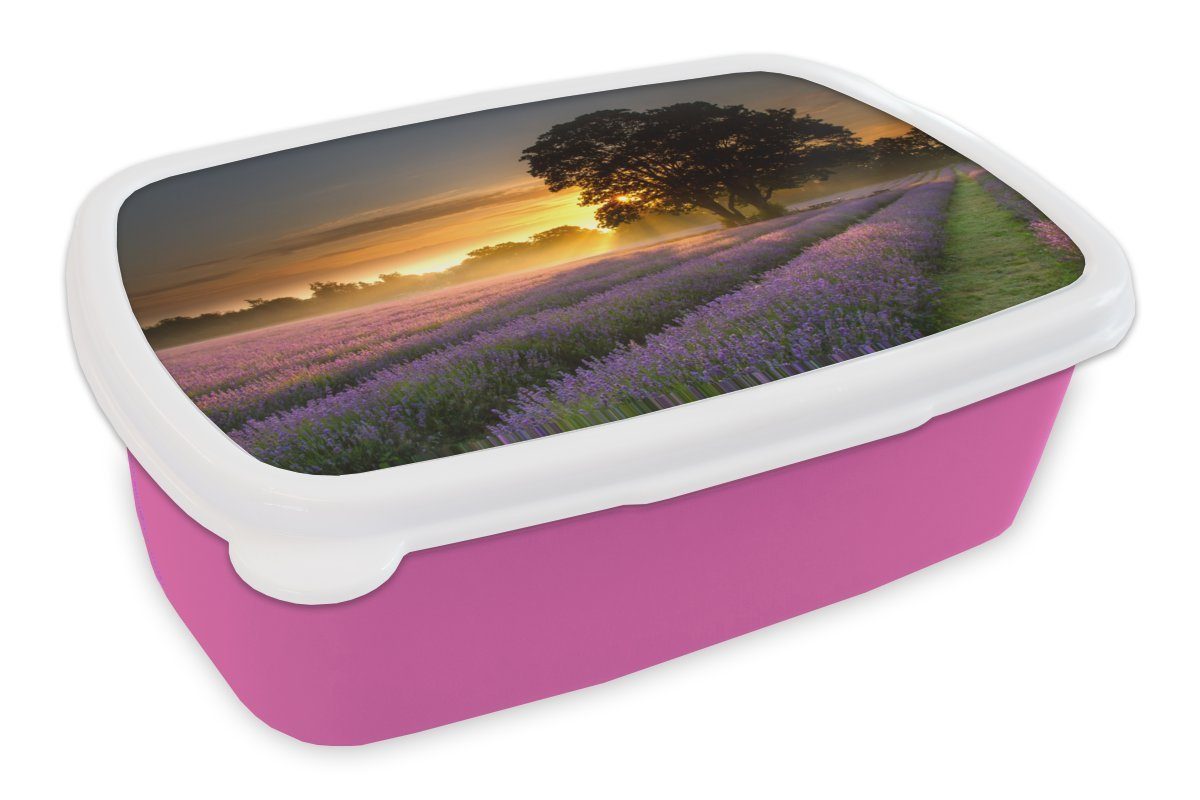 Snackbox, Mädchen, Kunststoff Kinder, Maifeld-Lavendelfelder bei Brotdose Kunststoff, Brotbox Erwachsene, nebligem Sonnenaufgang, für (2-tlg), rosa MuchoWow Lunchbox