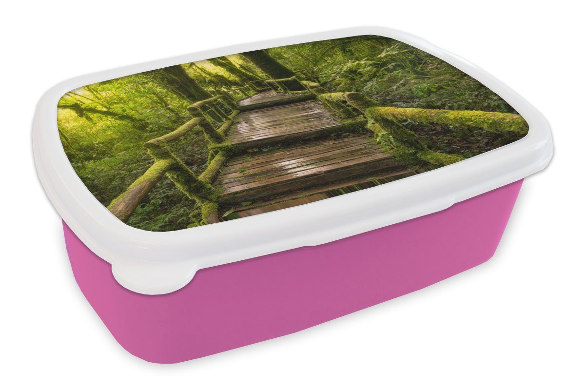 (2-tlg), Schöner Brotbox Brotdose Erwachsene, MuchoWow Kunststoff für Kunststoff, und rosa Regenwald Kinder, Lunchbox Snackbox, Mädchen, Dschungel,