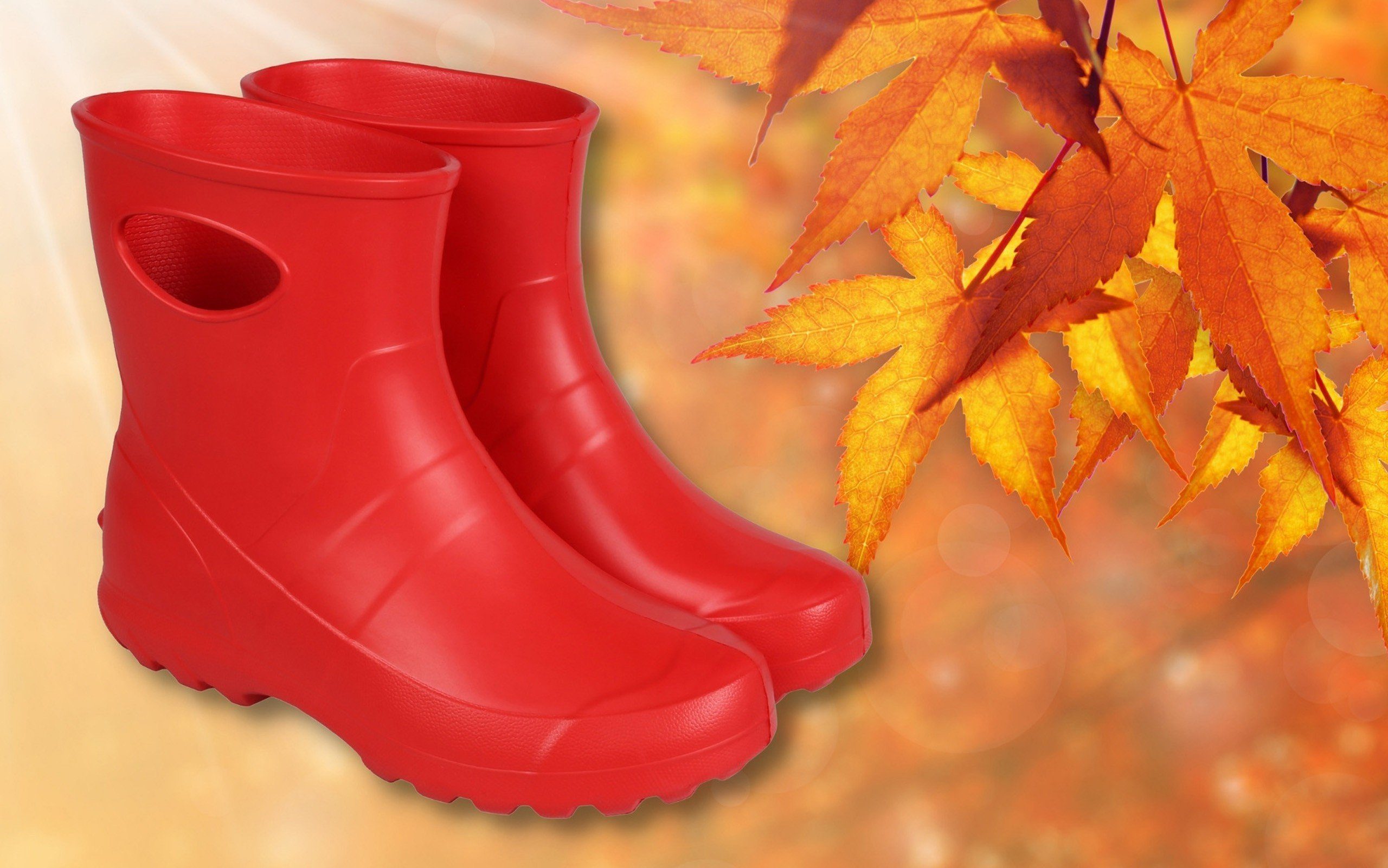 Sarcia.eu Damen Schaumstoff-Gummistiefel, rot mit Innensohle günstig online kaufen