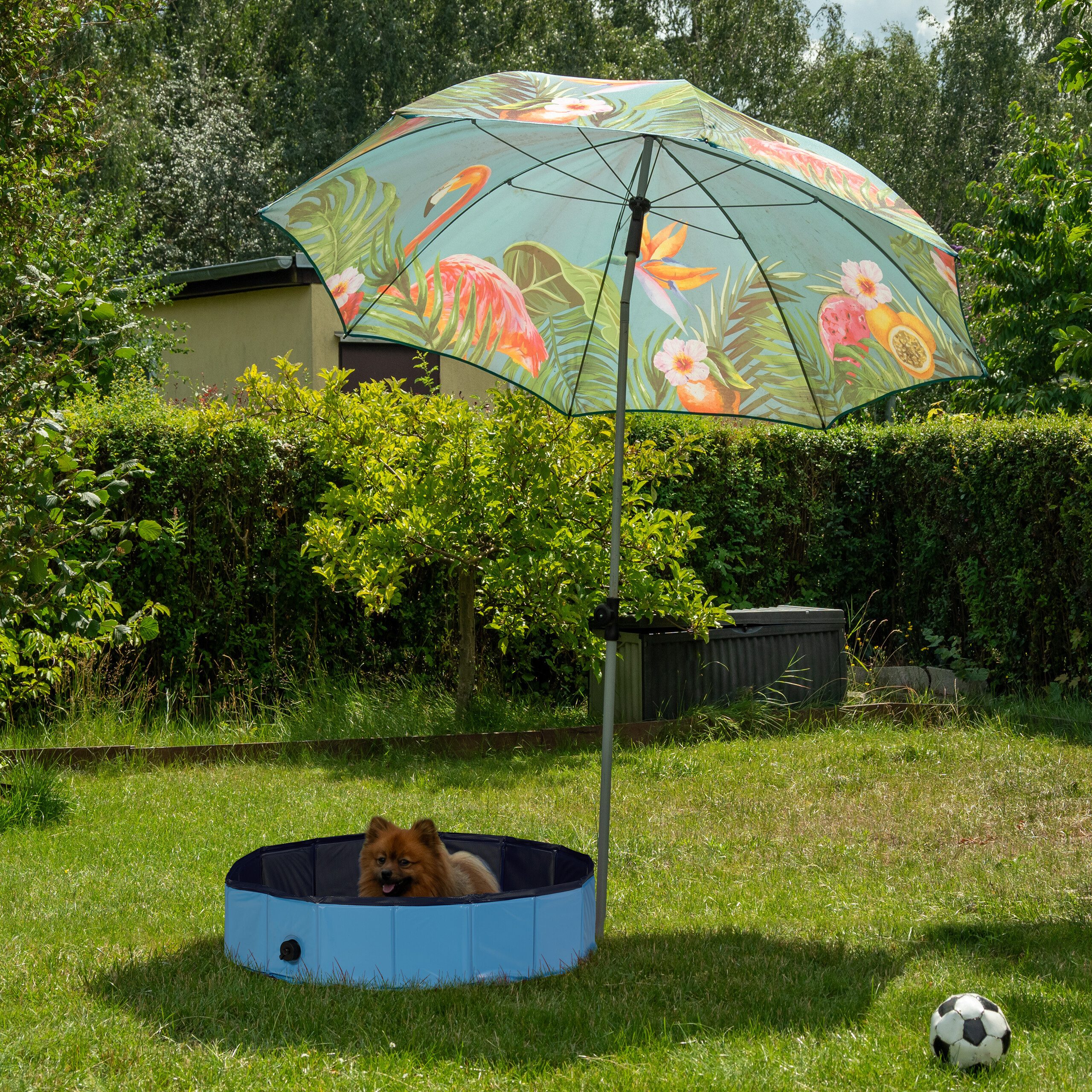 relaxdays Hundepool 80x20 cm, (1-tlg)