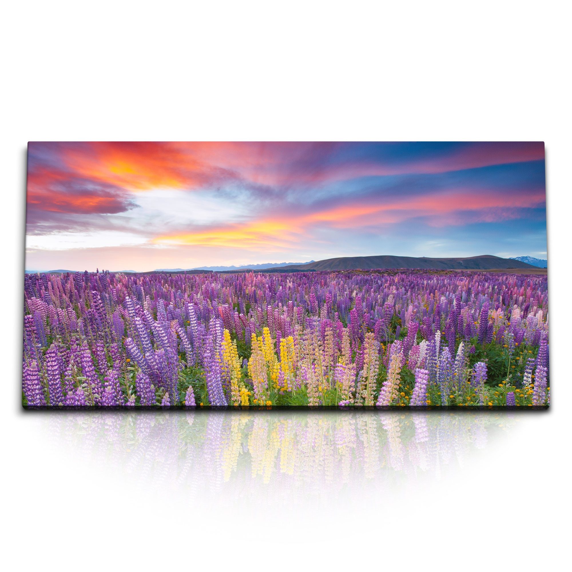 Leinwandbild Kunstdruck Bilder 120x60cm Lila Blumen Blumenwiese Landschaft Berge Ab