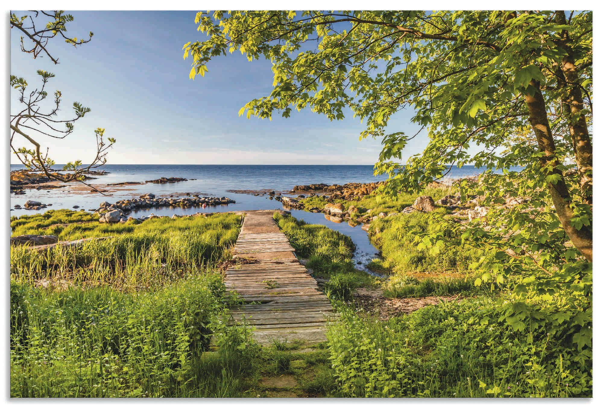 Artland Wandbild Der Weg Alubild, oder als Meer in Wandaufkleber Küstenbilder (1 zum Leinwandbild, versch. St), Bornholm, Poster Größen auf