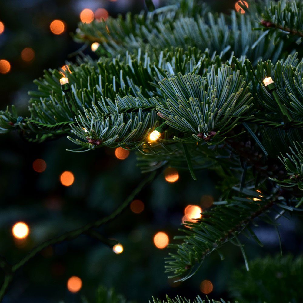 etc-shop Dekolicht, 100x LED Lichterkette Weihnachts Außen Beleuchtung Deko Lampen Licht