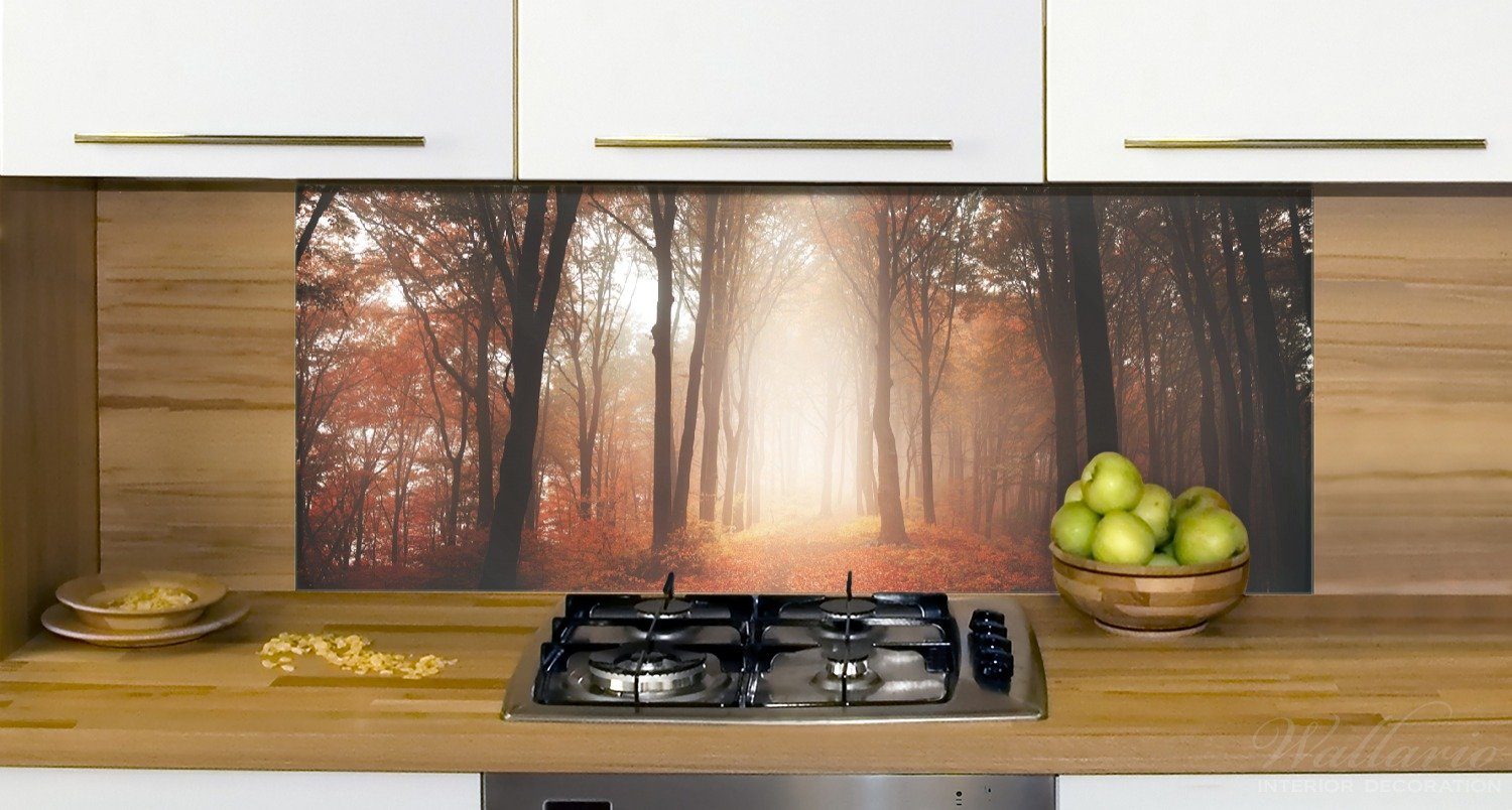 Lichtung zu einer (1-tlg) Küchenrückwand Wallario im Herbstwald - Weg Wald,