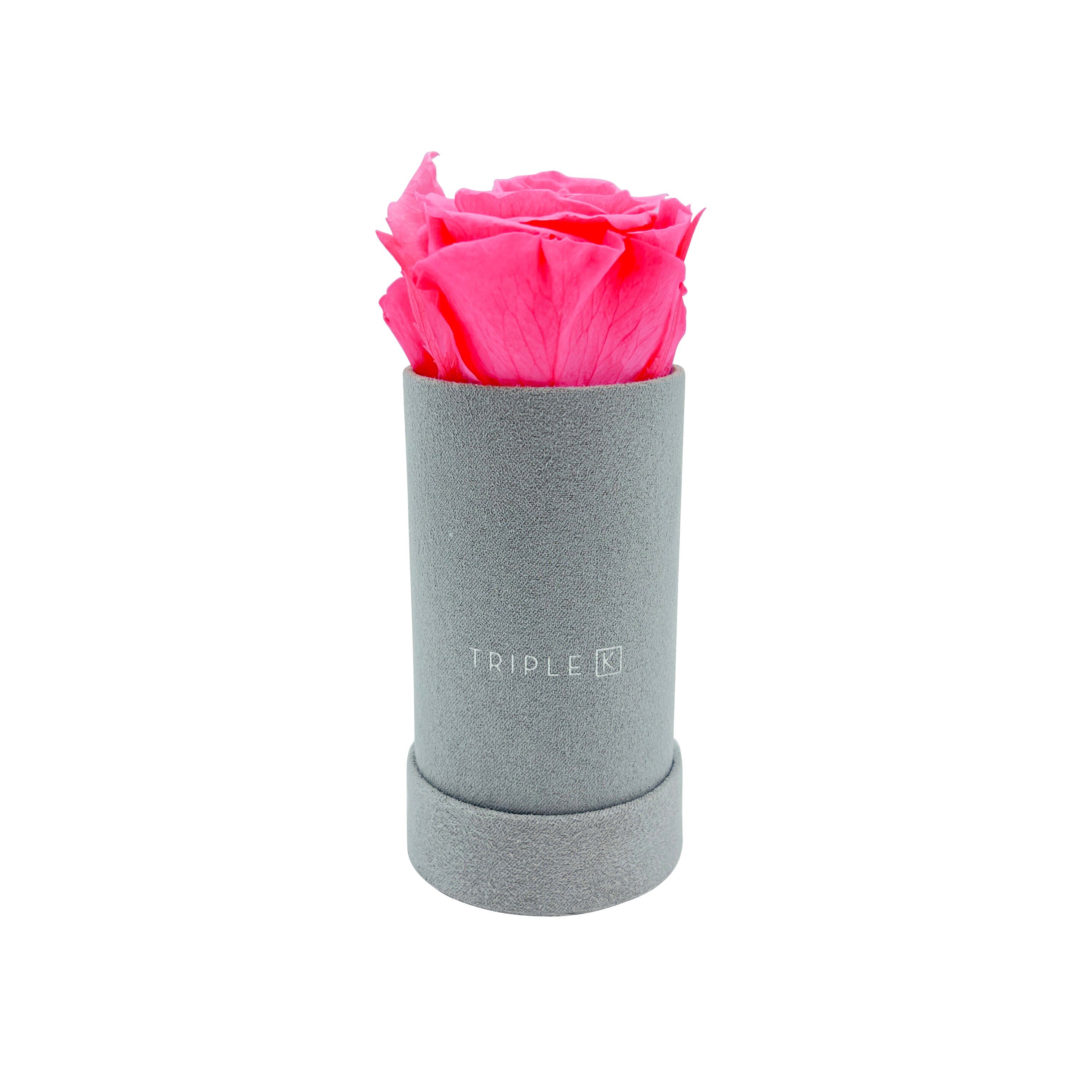 Kunstblume TRIPLE Pink mit 3 K Rosen, TRIPLE Inkl. Infinity K Grußkarte Blumenbox Rosen, - Infinity Flowerbox Velvet Haltbar, Jahre konservierten Rose, bis Rosenbox mit