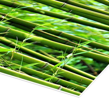 Posterlounge Poster Gabi Siebenhühner, Bambus I, Badezimmer Fotografie