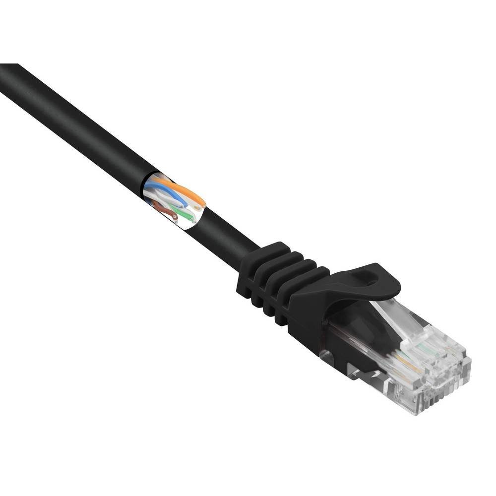 U/UTP CAT5e 10 LAN-Kabel m Renkforce Netzwerkkabel