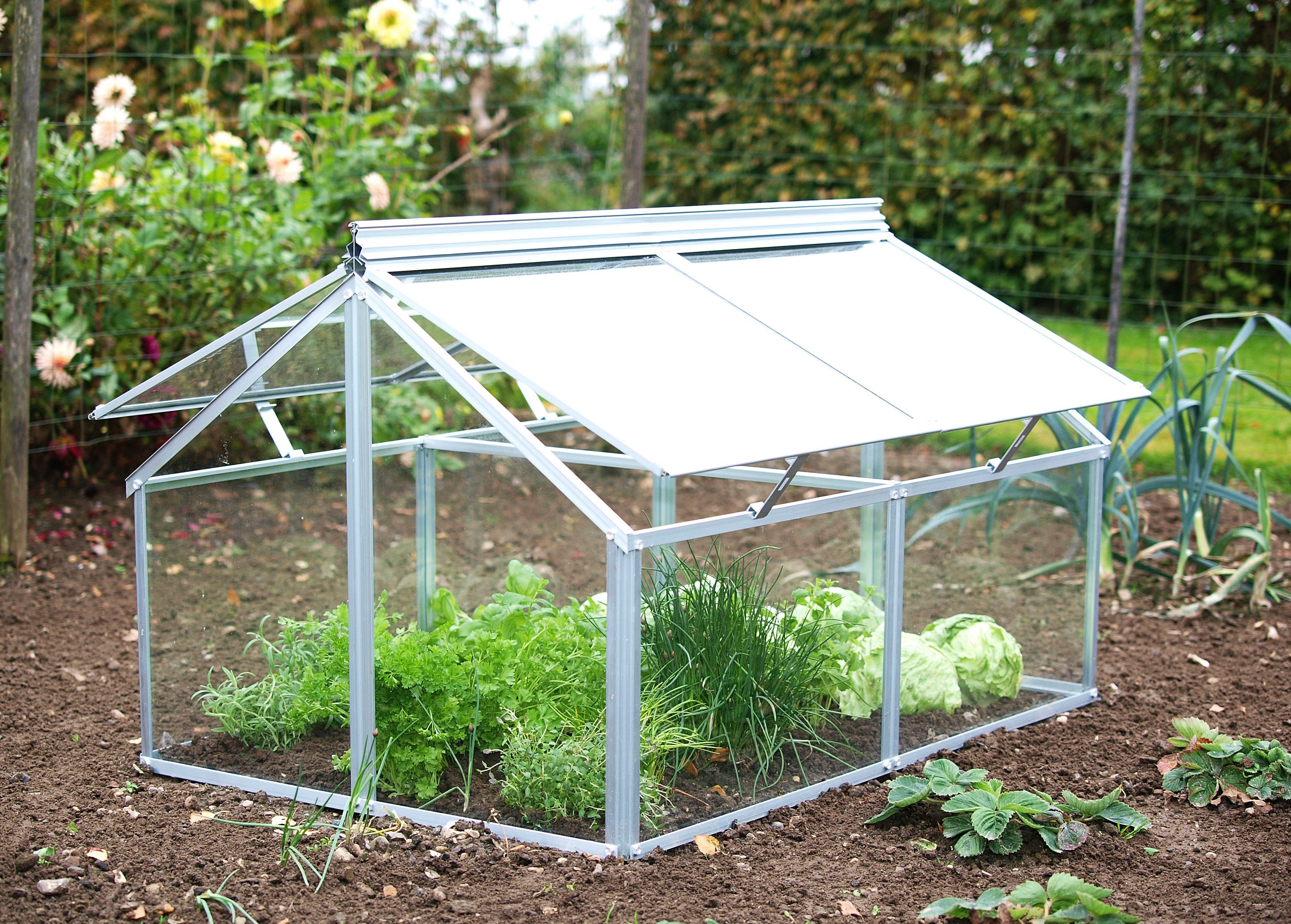Vitavia Frühbeet Gaia Jumbo, BxTxH 83x119x72 cm, ESG