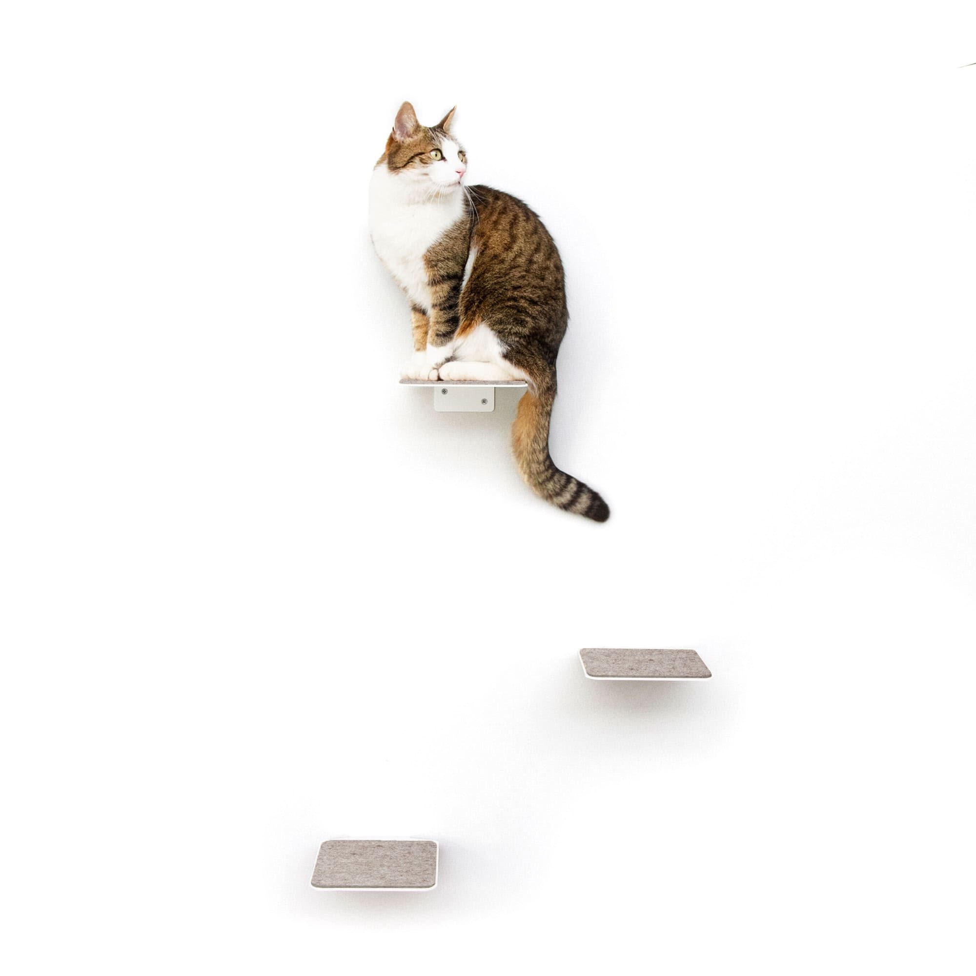 LucyBalu Katzen-Kletterwand Katzentreppe, Katzen Kletterwand, Katzenleiter, günstig online kaufen