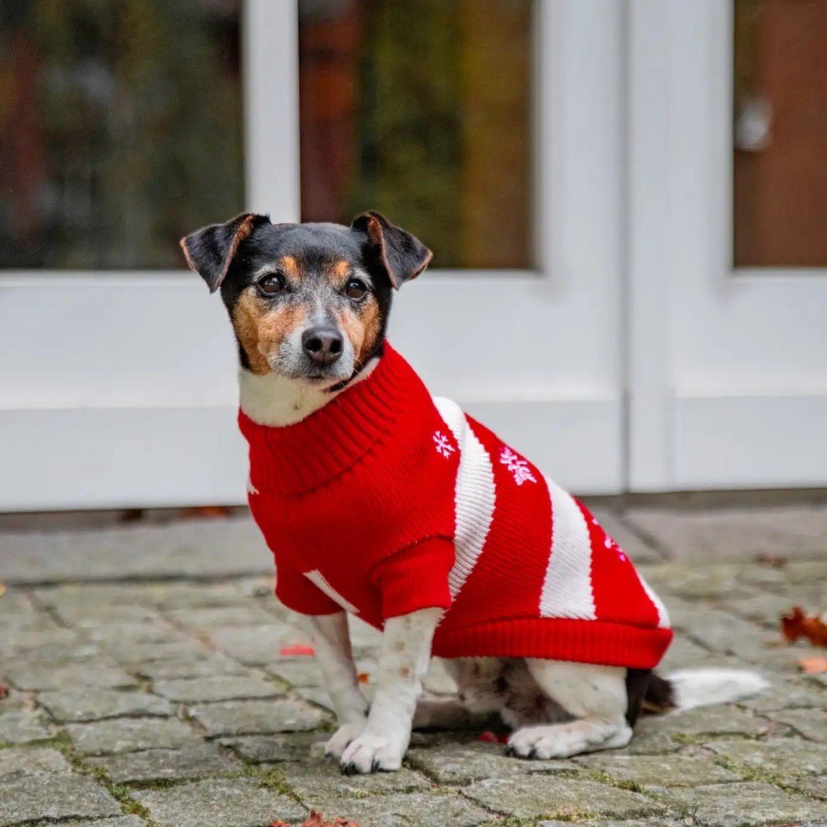 Wolters Hundepullover Strickpullover Frosty rot/weiß