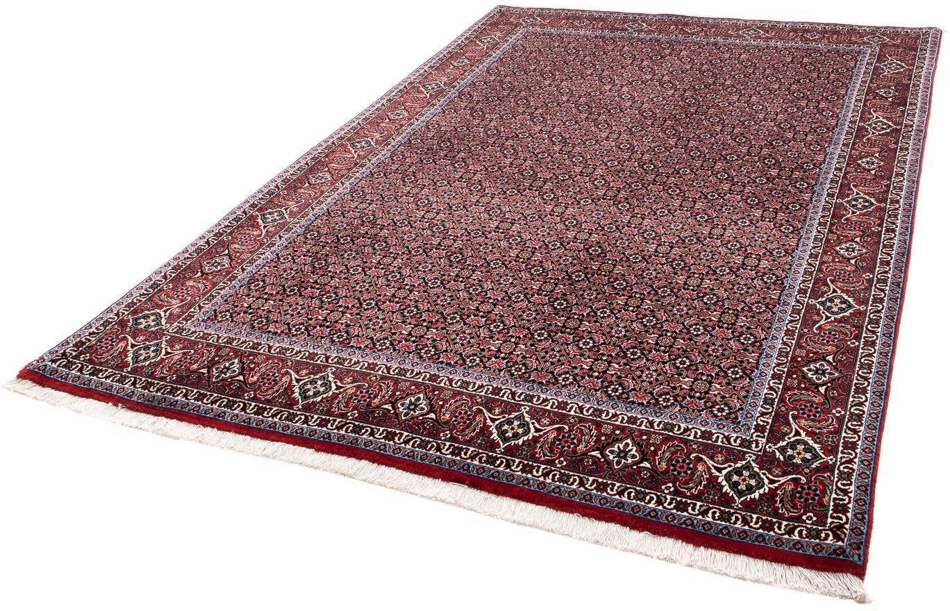 Orientteppich Perser - Bidjar - 250 x 168 cm - rot, morgenland, rechteckig, Höhe: 15 mm, Wohnzimmer, Handgeknüpft, Einzelstück mit Zertifikat
