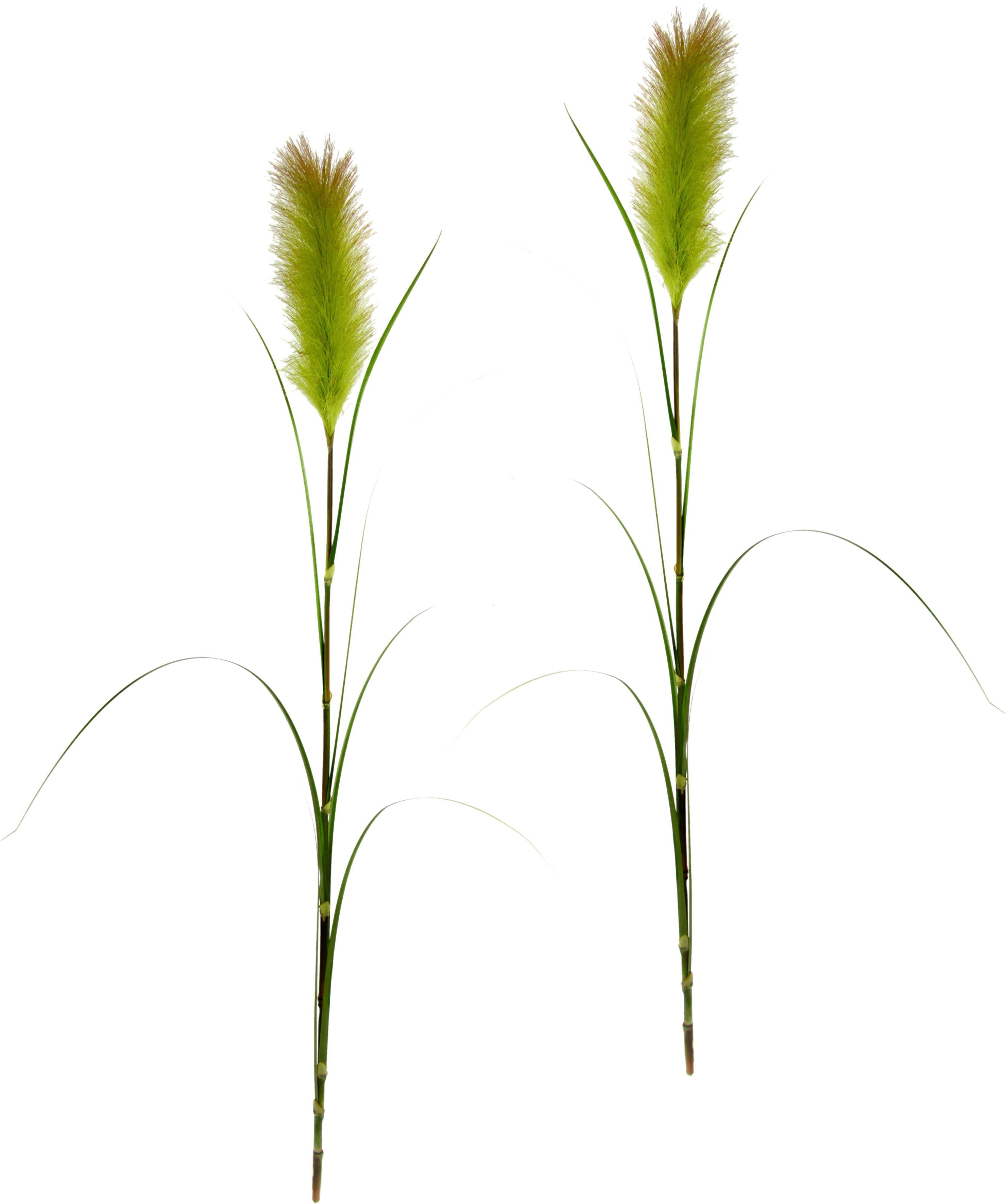 Kunstpflanze Pampas, I.GE.A., Höhe 125 cm, Pampasgras, Boho, 2er Set