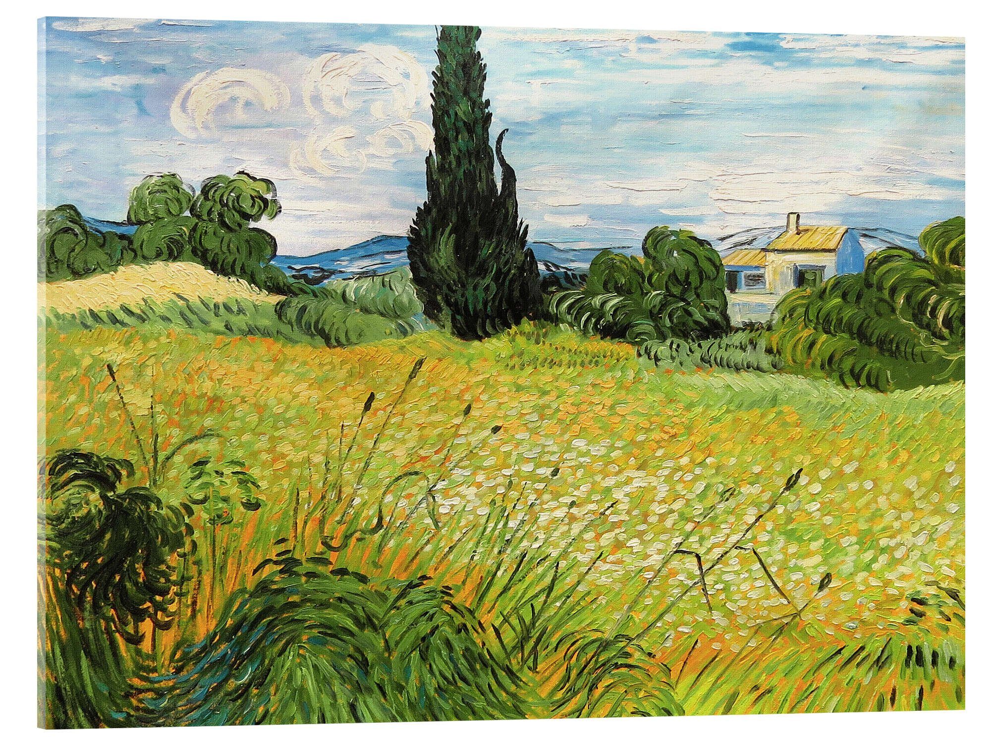 Posterlounge Wandbild Grünes Weizenfeld mit Zypresse, Vincent van Gogh, erhältlich als Poster, Leinwandbild, Wandsticker oder Acrylglasbild