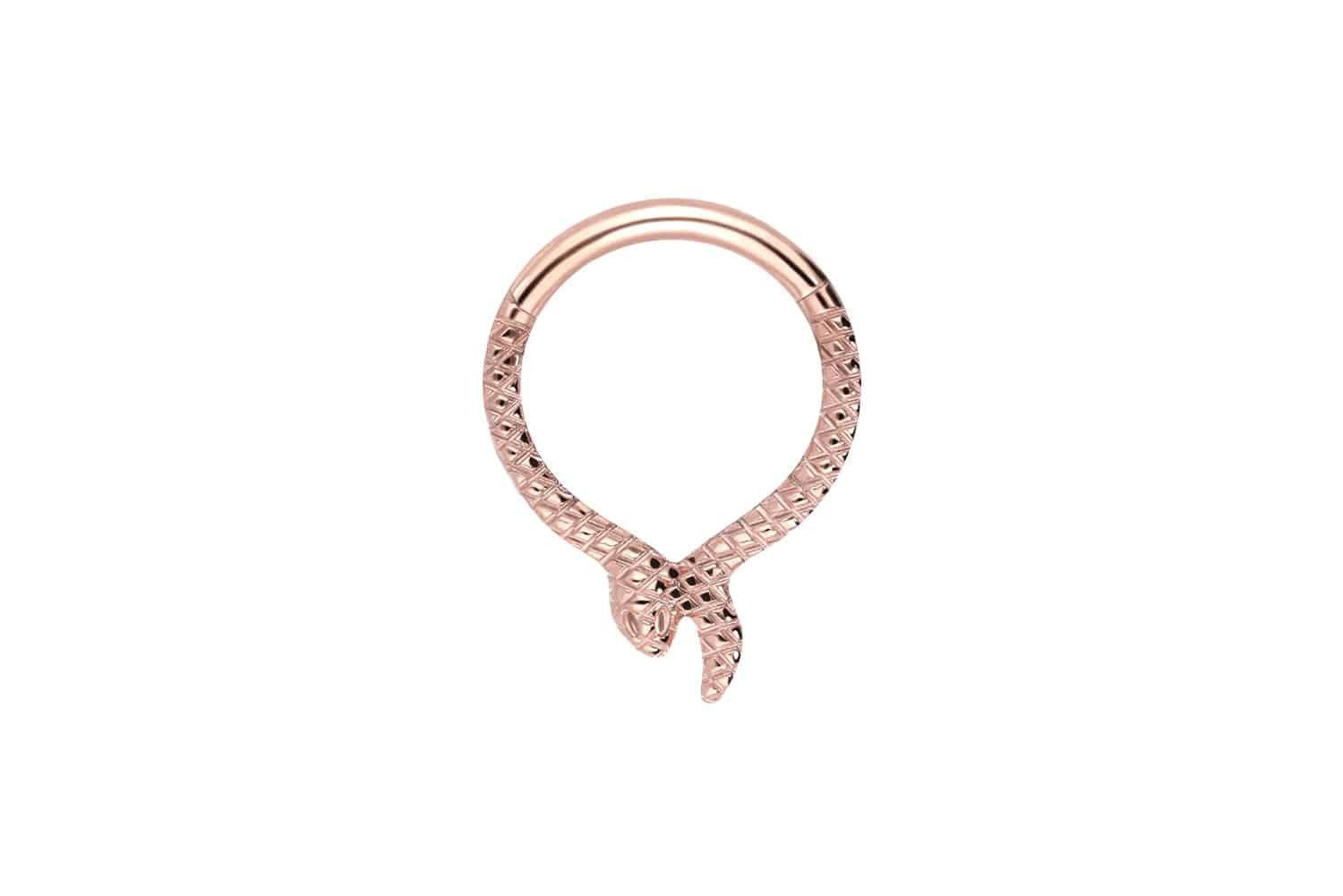 Nasenpiercing Titan Segmentring Clicker SCHLANGE Ohrpiercing Septum Nase