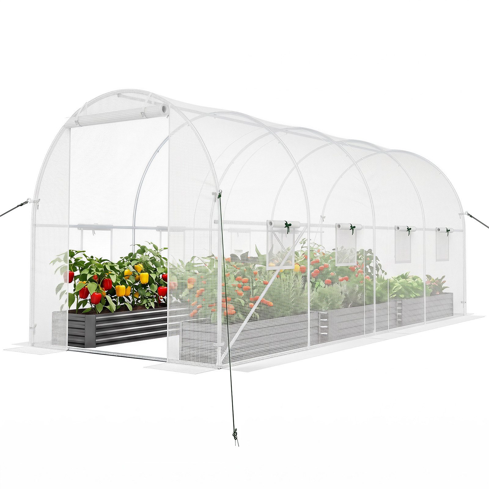 COSTWAY Gewächshaus Tomatenhaus, Foliengewächshaus, BxTxH: 450 x 200 x 200 cm, Tunnelgewächshaus begehbar, mit Tür & Fenster