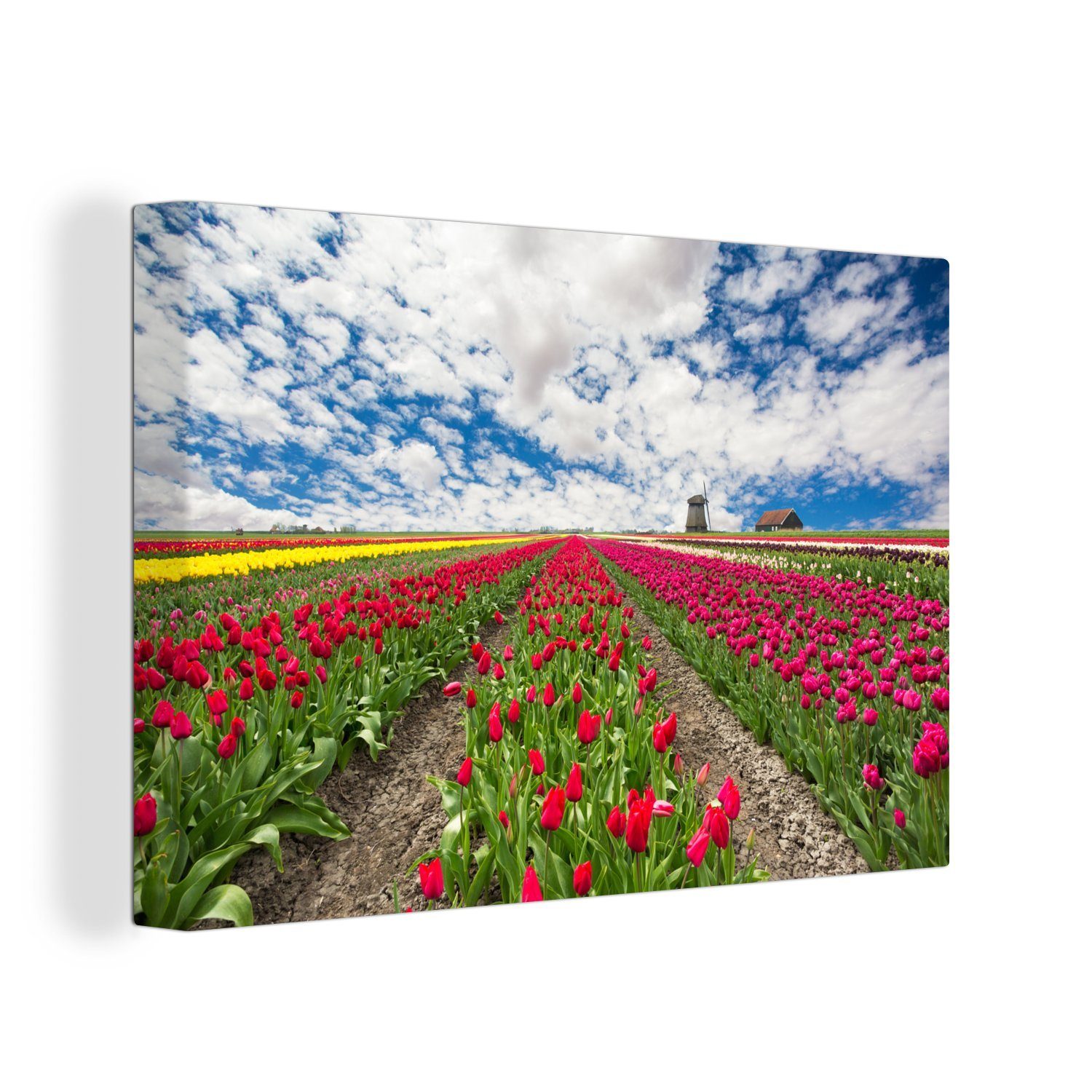 OneMillionCanvasses® Leinwandbild Eine Reihe von roten Tulpen, (1 St), Wandbild Leinwandbilder, Aufhängefertig, Wanddeko, 30x20 cm