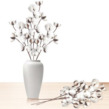 Trockenblume 6 Stück Baumwollzweig Kunstblumen Kunstpflanze, DAKYAM, Höhe 53 cm, flexibel gebogen, schön