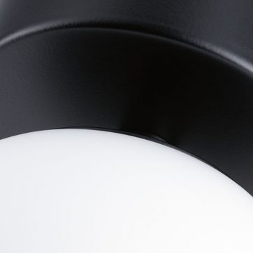 Paulmann Spiegelleuchte LED Deckenleuchte Gove in Schwarz-matt und Weiß 5W 400lm IP44 120mm, keine Angabe, Leuchtmittel enthalten: Ja, fest verbaut, LED, warmweiss, Badezimmerlampen, Badleuchte, Lampen für das Badezimmer