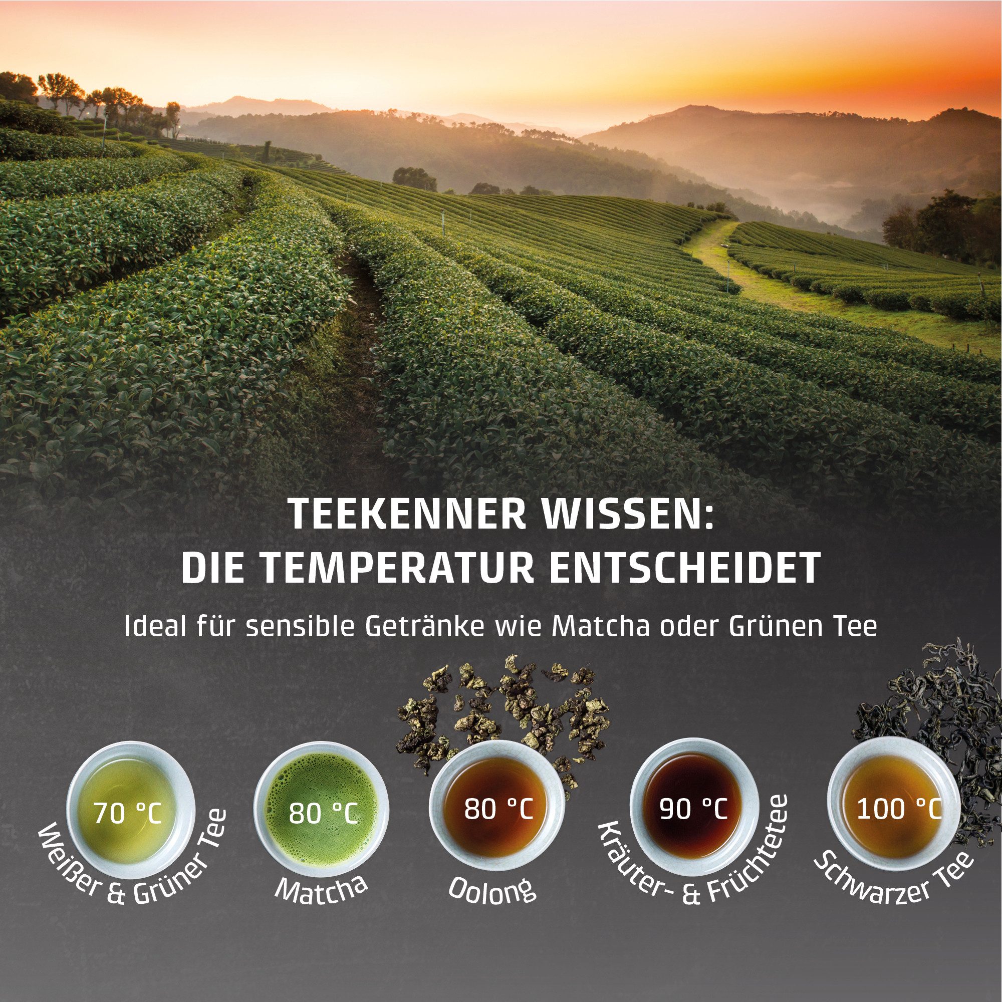 Caso Heißwasserspender 1884 HW 1660, 4 l, 2600 W