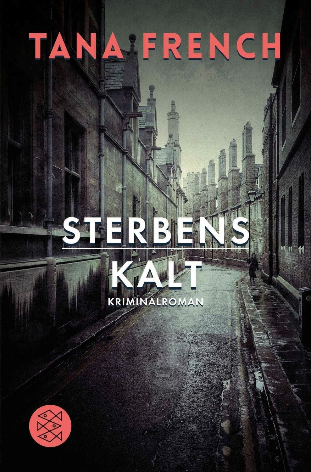 Sterbenskalt / Tana French