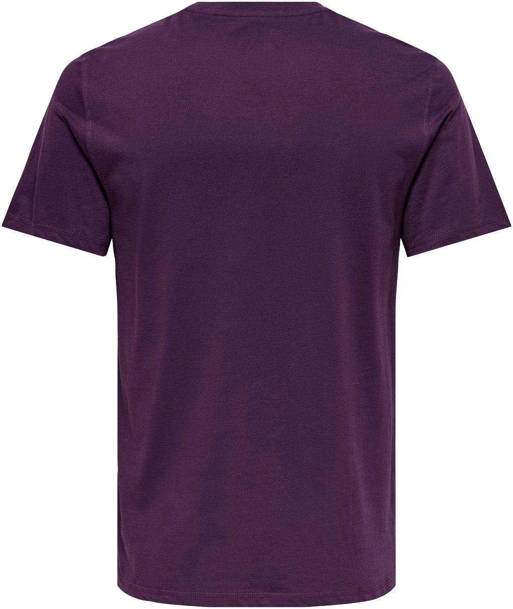 ONLY & SONS Rundhalsshirt ONSMAX LIFE REG SS STITCH TEE Baumwolle, normal geschnitten