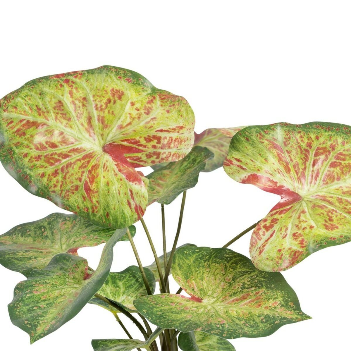 Künstliche Zimmerpflanze Dekorationspflanze 48 x Bigbuy, 57 55 x Rot cm Höhe PVC, grün cm 46