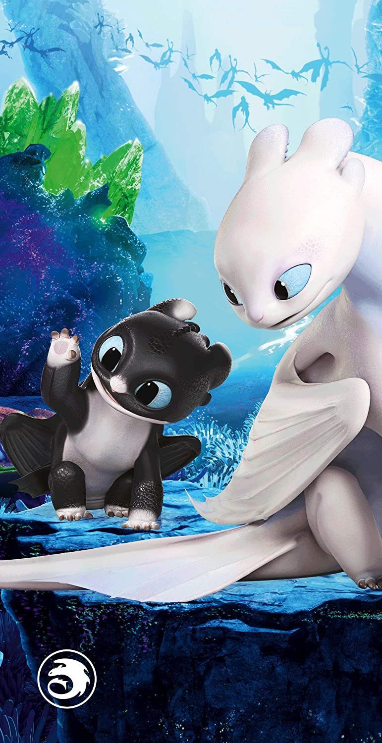 Jerry Fabrics Handtücher Drachenzähmen leicht gemacht Duschtuch Badetuch Strandtuch 70 x 140cm, (1 Duschtuch, 1-St), Langlebig