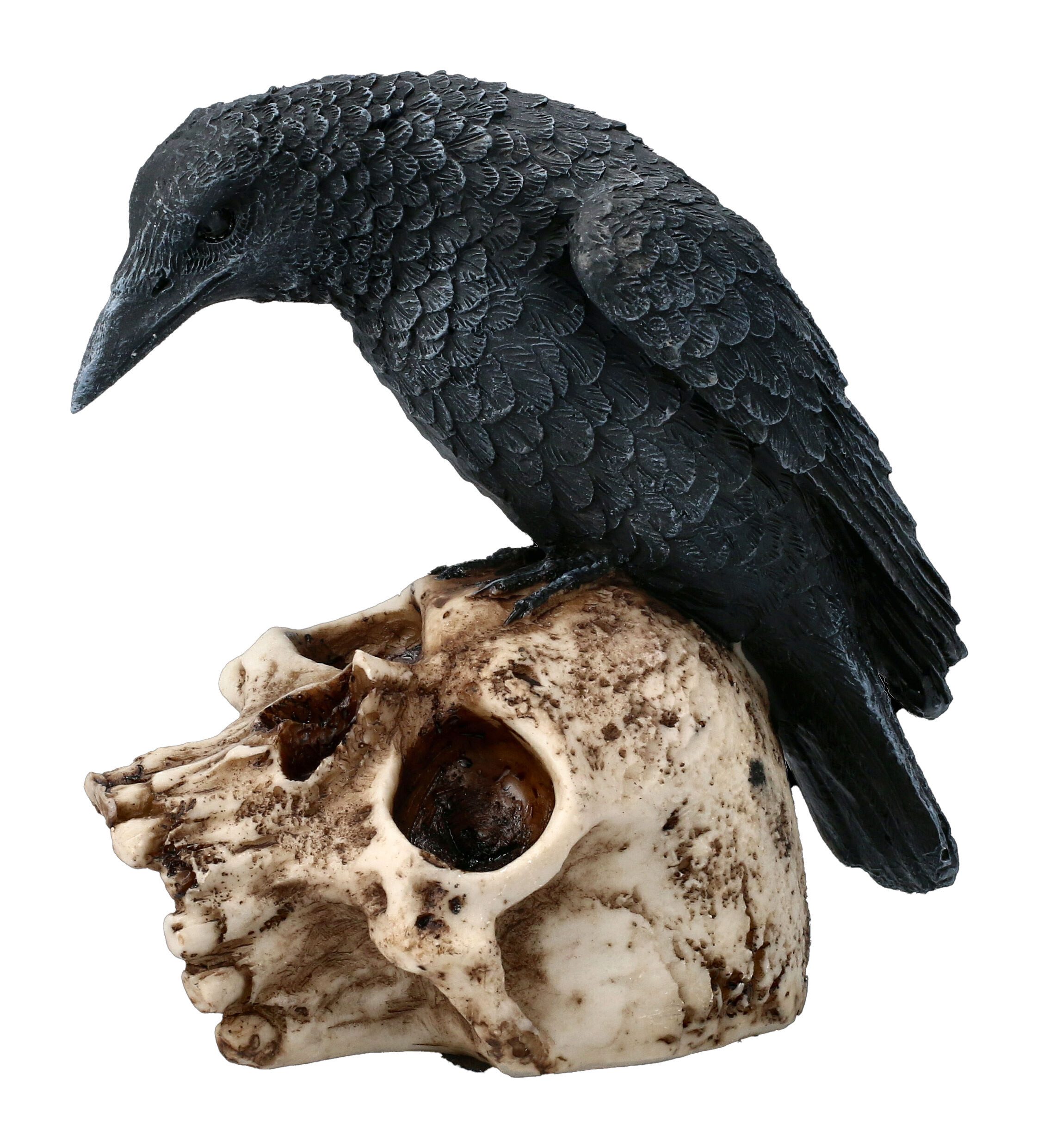 Figuren Shop GmbH Fantasy-Figur Raben Figur sitzt auf Totenkopf - Gothic Fantasy Deko