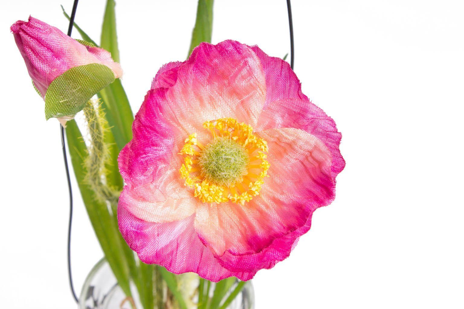 Kunstblume »Mohnblume im Glas« Mohn, Botanic-Haus, Höhe 19 cm-HomeTrends