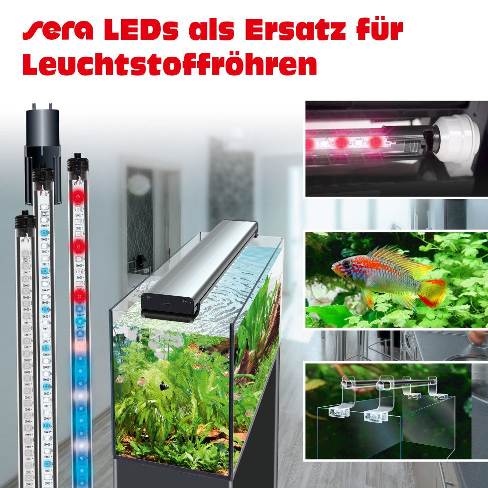 Sera LED Aquariumleuchte Sera Aquarium-Beleuchtung LED Adapter T5 short - 2