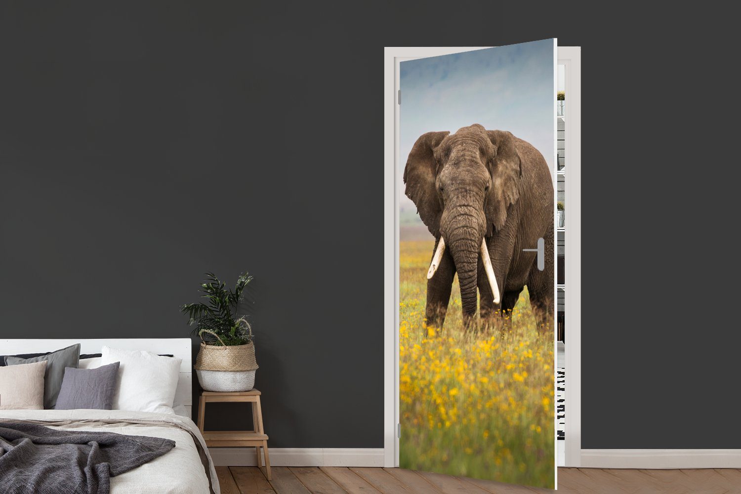 MuchoWow Türaufkleber, Matt, Tür, Gras - (1 75x205 bedruckt, für - cm - Elefant Natur, St), Blumen - Fototapete Tiere Türtapete