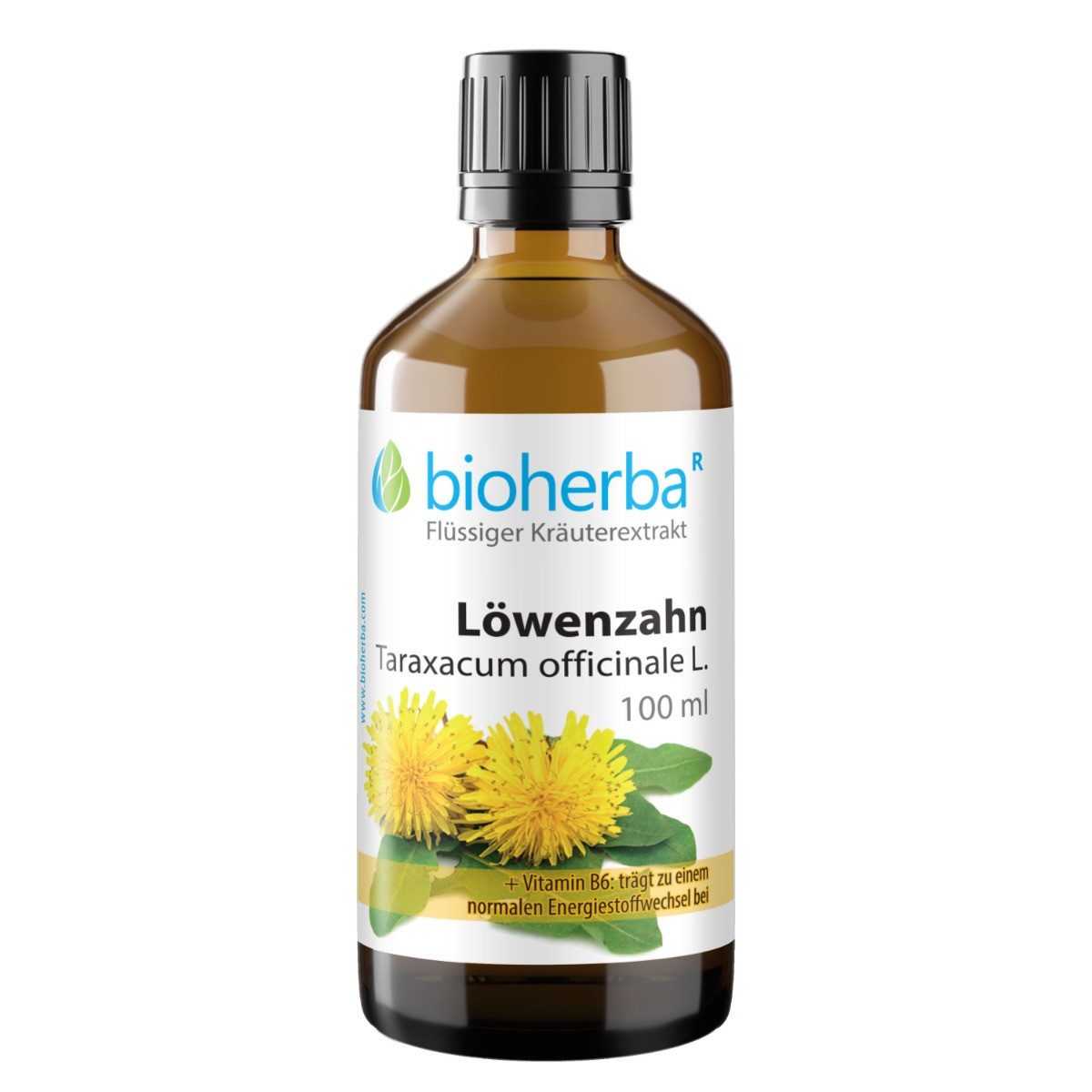 BIOHERBA R Bioherba Löwenzahn Taraxacum officinale L. Tropfen Tinktur 100 ml Glasflasche, 1 er