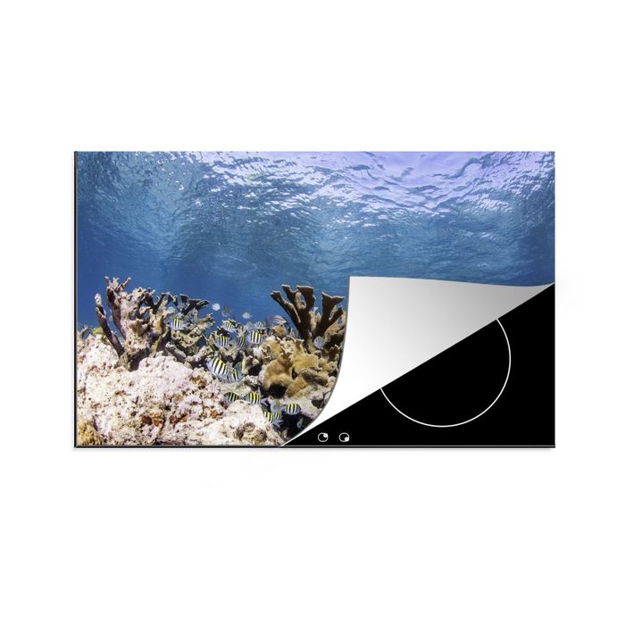MuchoWow Herdblende-/Abdeckplatte Korallen in klarem Wasser Vinyl (1 tlg) Ceranfeldabdeckung für die küche Induktionsmatte