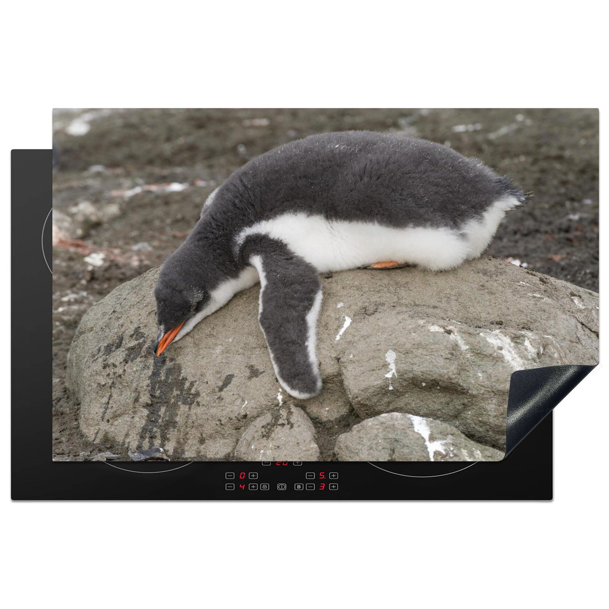 MuchoWow Herdblende-/Abdeckplatte Pinguin - Stein - Schlaf, Vinyl, (1 tlg), 81x52 cm, Induktionskochfeld Schutz für die küche, Ceranfeldabdeckung