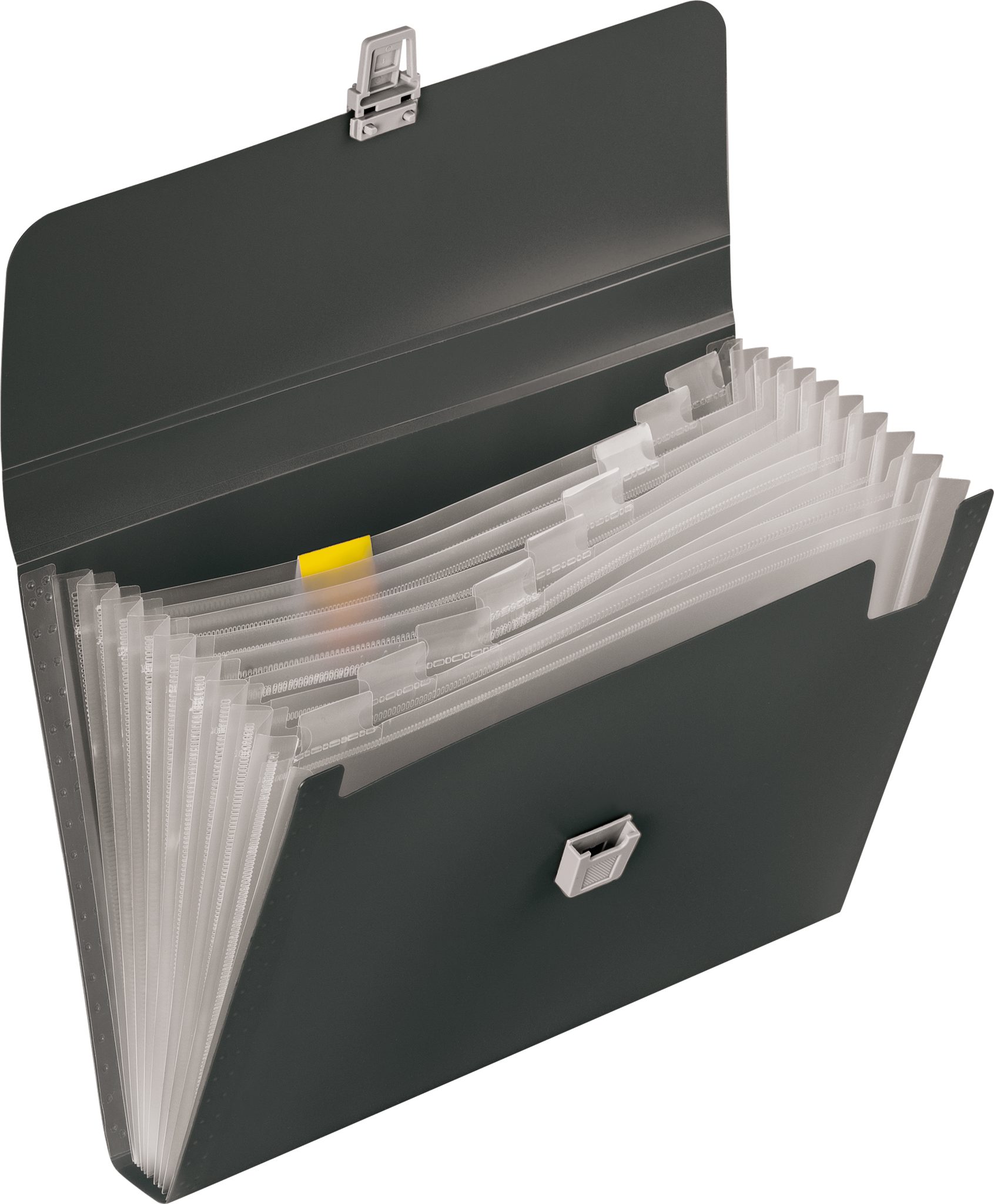 BRUNNEN Organisationsmappe BRUNNEN 102024080 Fächermappe FACT!pp onyx