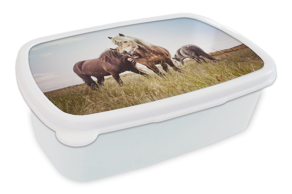 MuchoWow Lunchbox Pferde - Gras - Frühling, Kunststoff, (2-tlg), Brotbox für Kinder und Erwachsene, Brotdose, für Jungs und Mädchen weiß