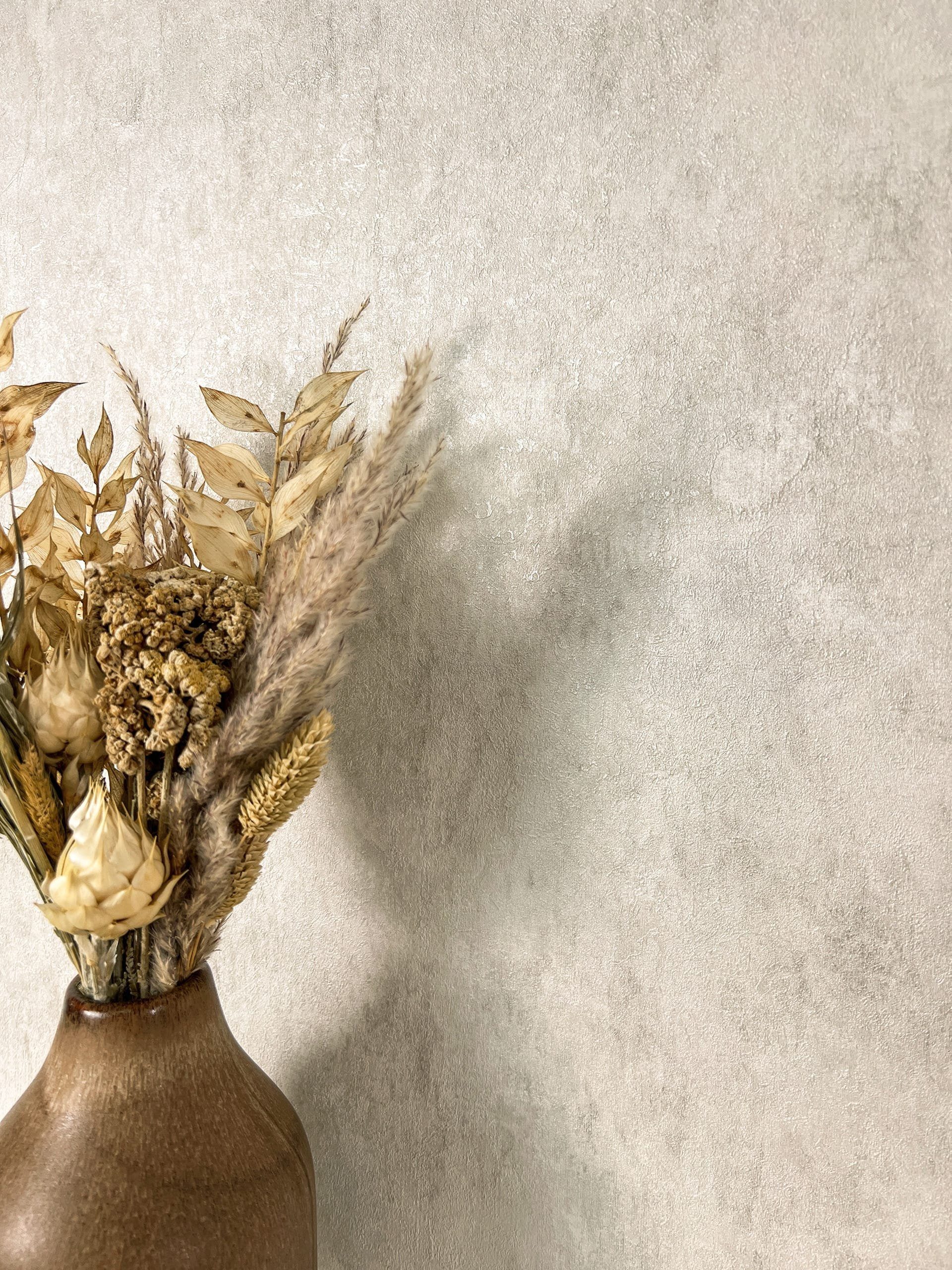 Newroom Vliestapete, Creme Tapete Modern Unifarbe - Universal Einfarbig Hel günstig online kaufen