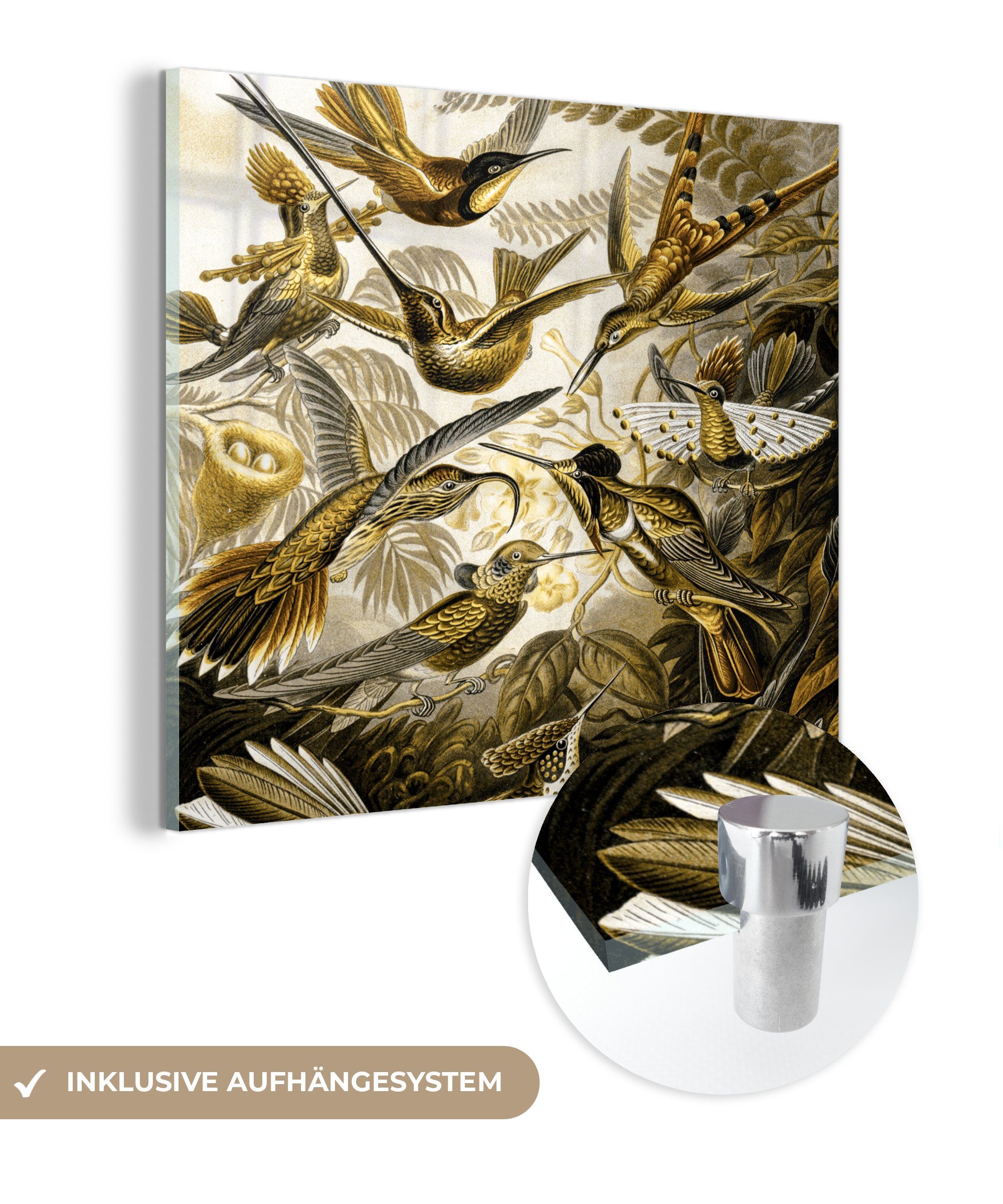 MuchoWow Acrylglasbild Trochilidae - Ernst Haeckel - Gold, (1 St), Glasbilder - Bilder auf Glas Wandbild - Foto auf Glas - Wanddekoration bunt