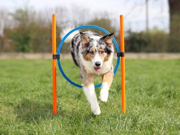 Lemodo Agility-Slalom Agility Set für kleine und mittlere Hunde, Komplett-Set, Kunststoff