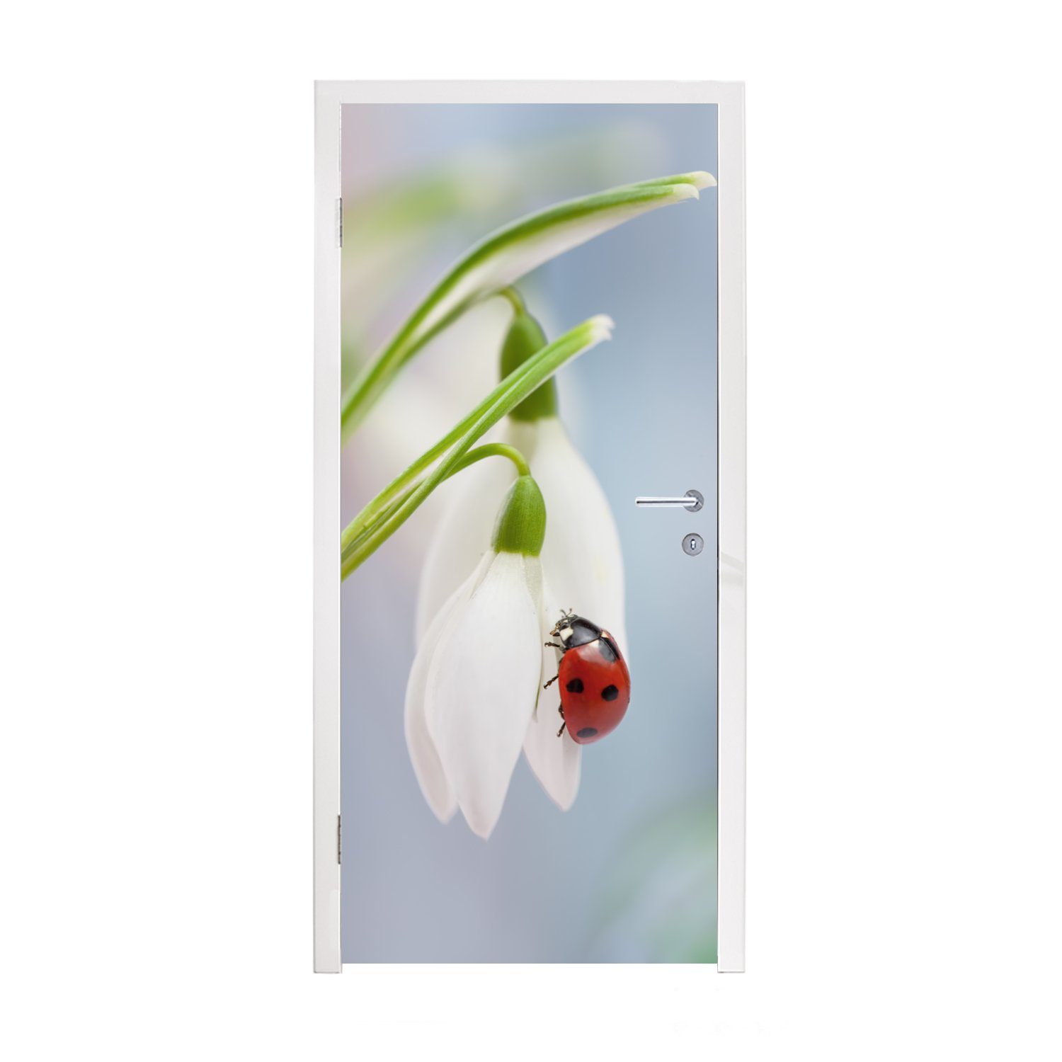 MuchoWow Türtapete Marienkäfer auf einem Schneeglöckchen, Matt, bedruckt, (1 St), Fototapete für Tür, Türaufkleber, 75x205 cm
