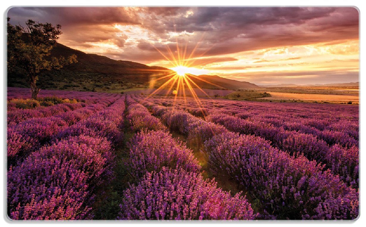 Wallario Frühstücksbrett Lavendelfeld Sonnenstrahlen, 1-St), - rutschfester ESG-Sicherheitsglas, 4mm, Gummifüße Sonnenuntergang (inkl. bei 14x23cm