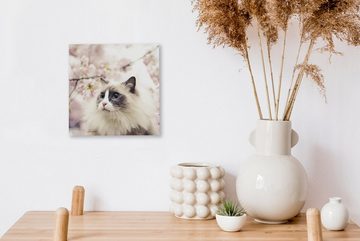 OneMillionCanvasses® Leinwandbild Sakura - Katze - Farben, (1 St), Leinwand Bilder für Wohnzimmer Schlafzimmer