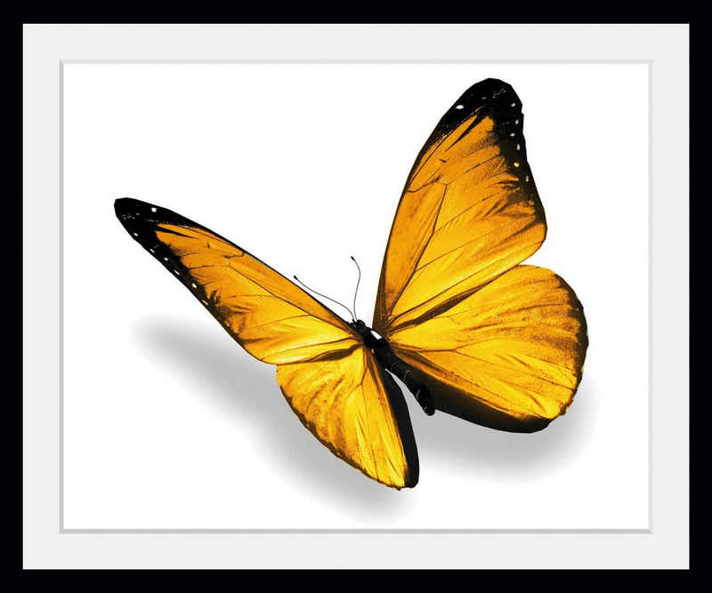 queence Bild »Maria 3.0«, Schmetterlinge (1 St)