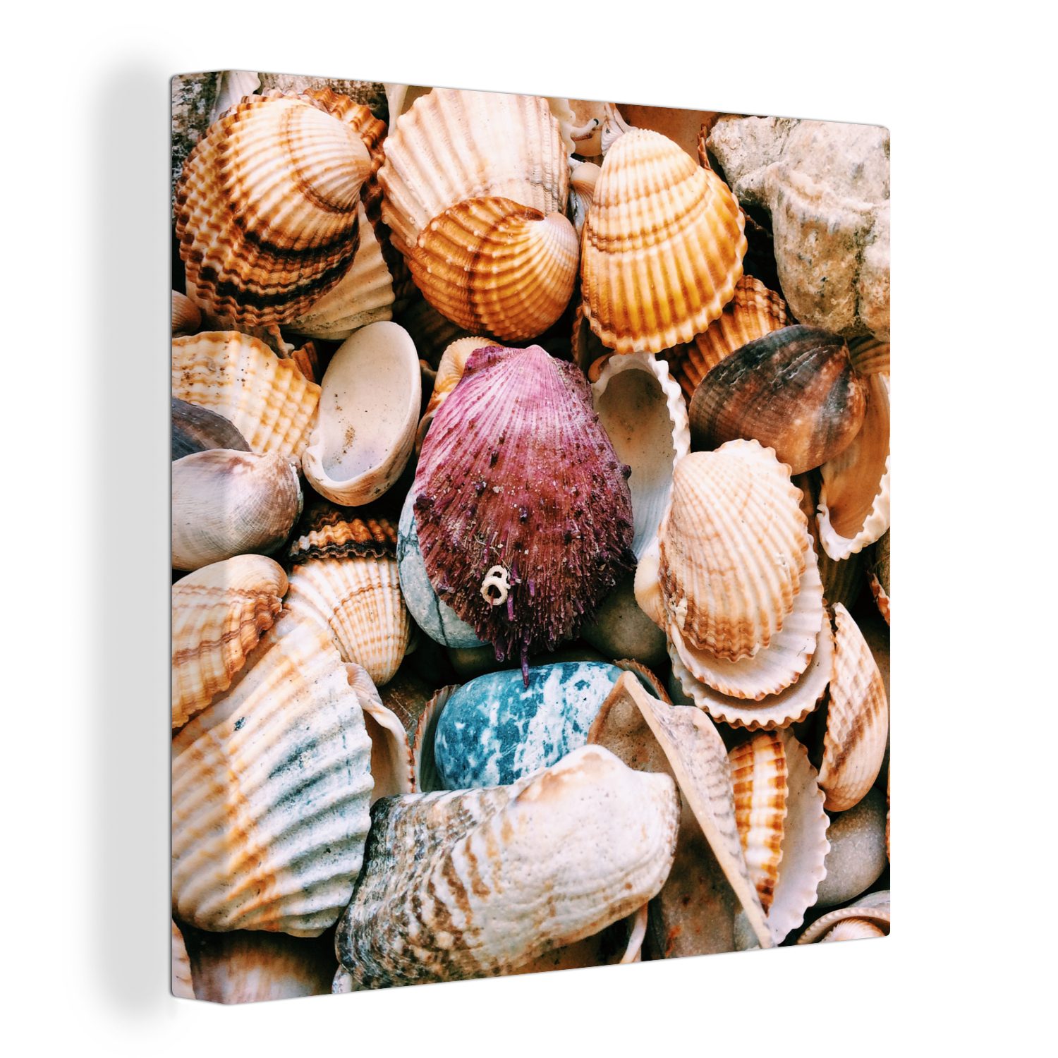 OneMillionCanvasses® Leinwandbild Muscheln - Strand - Griechenland, (1 St), Leinwand Bilder für Wohnzimmer Schlafzimmer | Leinwandbilder