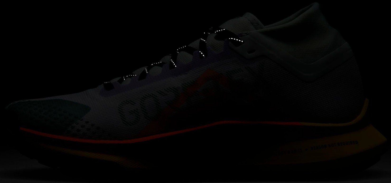 Nike PEGASUS TRAIL 4 GORE-TEX WATERPROO BARELY-GRAPE-TOTAL-ORANGE-BARELY-GREEN Laufschuh wasserdicht