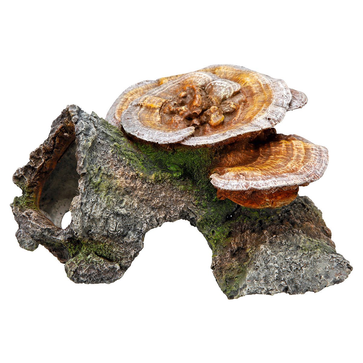 Aquariendeko Aquariendekoration Holzhöhle mit Pilzen