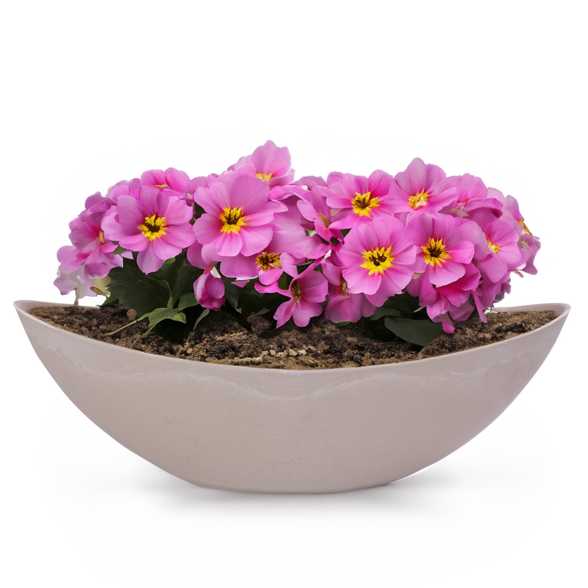matches21 HOME & HOBBY Blumentopf Große Vintage Outdoor Pflanzschale oval 39 cm sandfarben beige (1 St), Längliche Deko-Schale als wetterfeste Garten-Deko Blumen-Schale