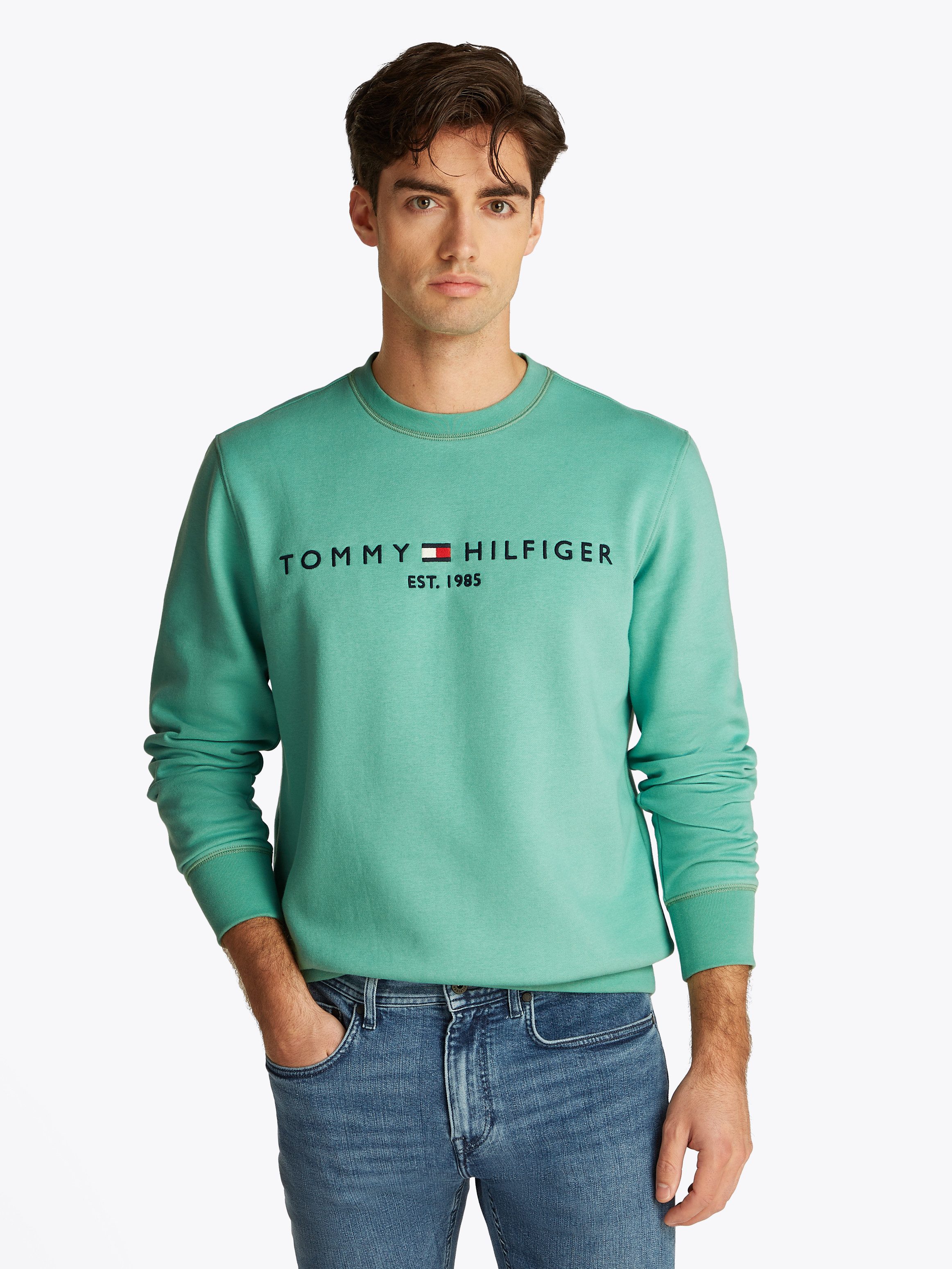 Tommy Hilfiger Sweatshirt TOMMY LOGO SWEATSHIRT günstig online kaufen
