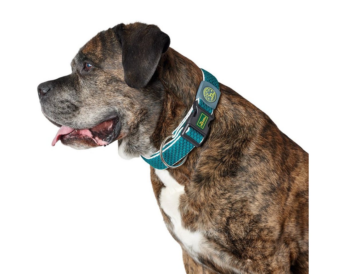 Thumbnail - Hunter Tierbedarf Hunde-Halsband Halsband Hilo Vario Plus türkis