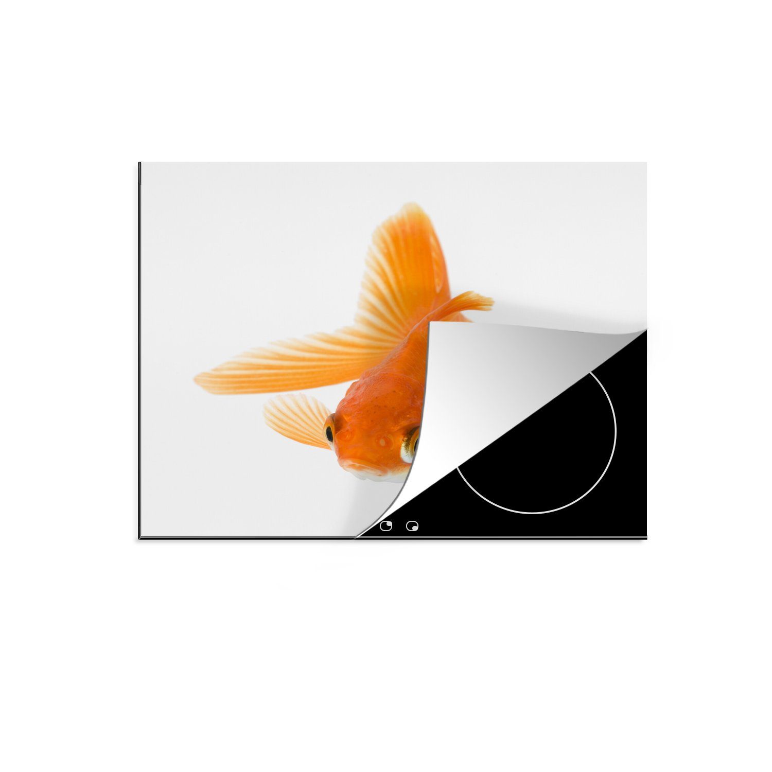 MuchoWow Herdblende-/Abdeckplatte Fische - Goldfisch - Weiß, Vinyl, (1 tlg), 59x52 cm, Ceranfeldabdeckung für die küche, Induktionsmatte